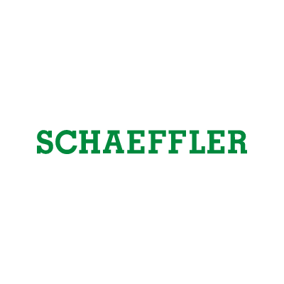 SCHAEFFLER - Business Transformation