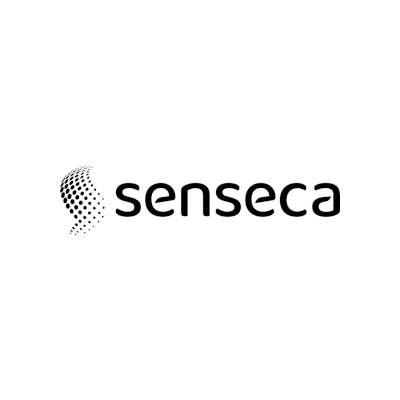 senseca - Business Transformation