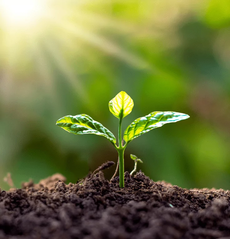 Rethinking Business Models